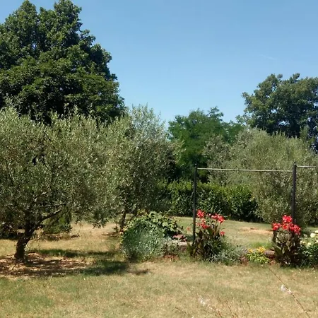 Ghedas Porec