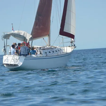 Ghedas * Poreč